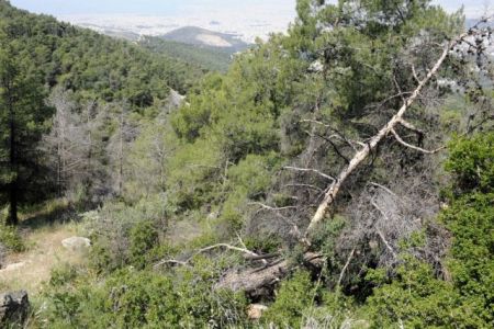 Επιχείρηση στα Λευκά Ορη για την διάσωση τουρίστα