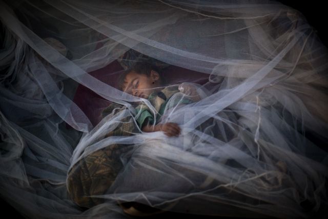 Δραστική μείωση των θανάτων από ελονοσία