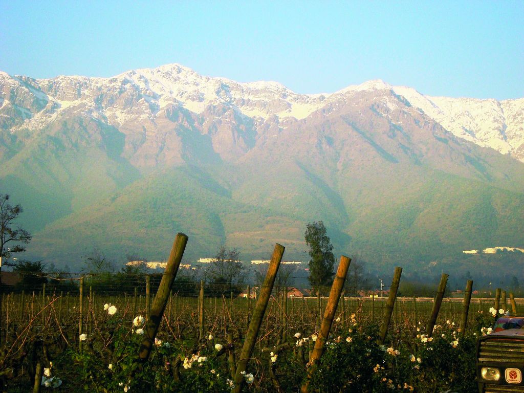«Ακρώρειοι» οίνοι