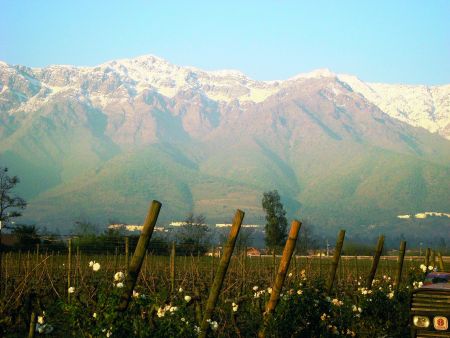 «Ακρώρειοι» οίνοι