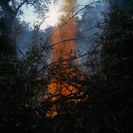 Φωτογραφικές εκδοχές του ελληνικού αλφάβητου στην PhotoBiennale