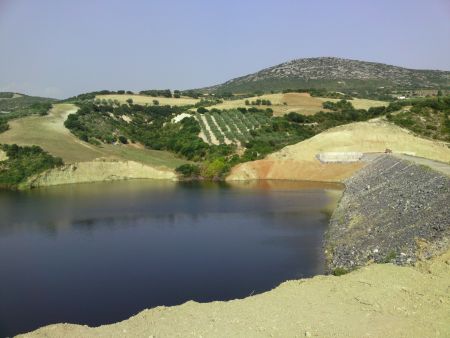 Συμμαχία Πολιτών: «Δώστε γη στους ανέργους»