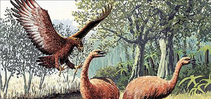 Το ανθρωποφάγο πτηνό