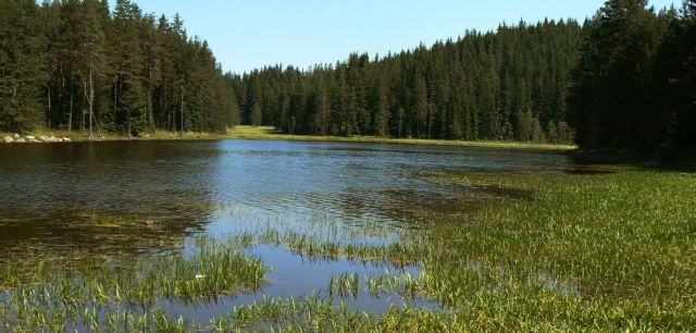 Προστασία της Ροδόπης και με τη… βούλα