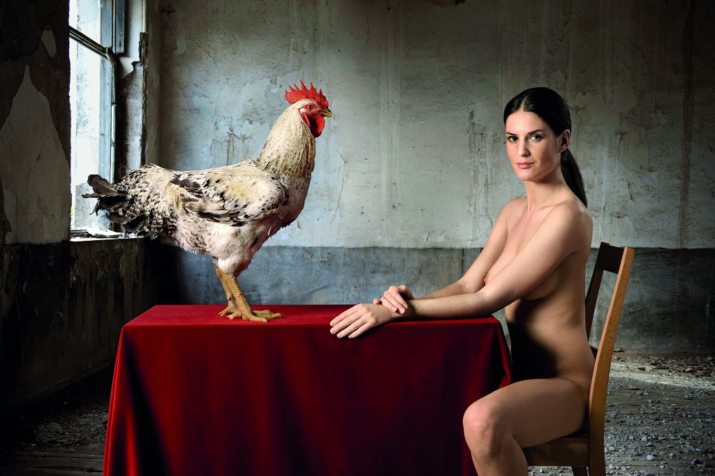 Η φαντασία του Γέρου