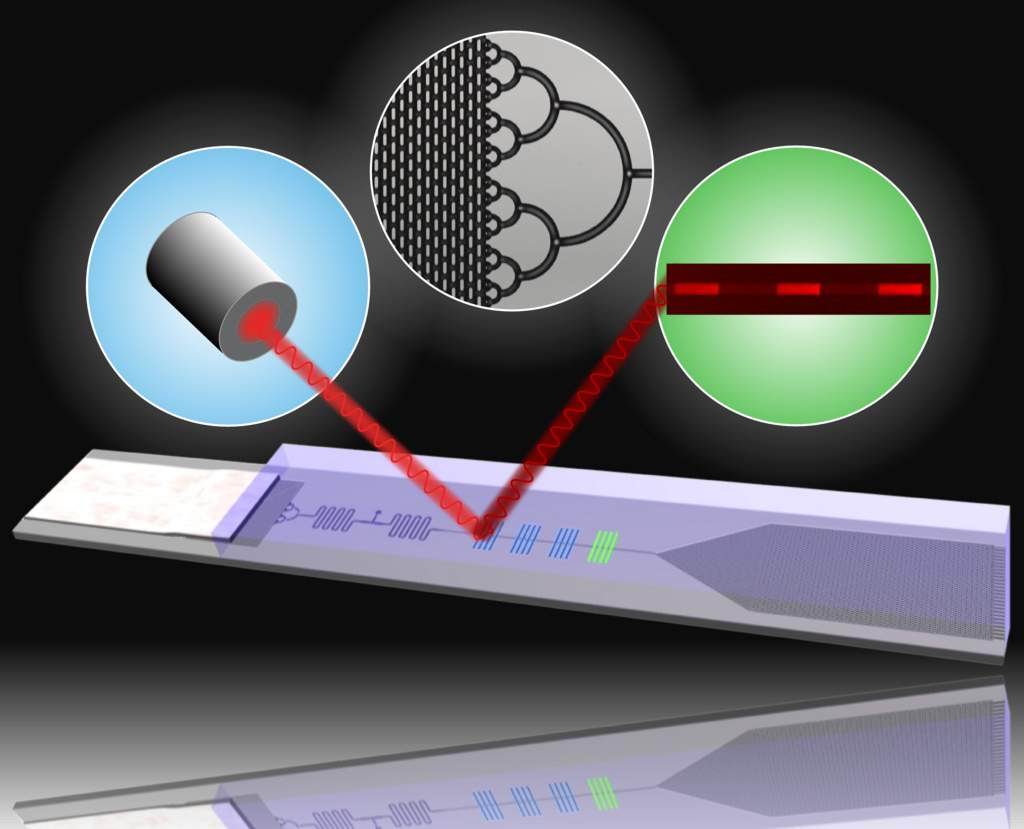 Ασφαλής εξέταση αίματος για το σύνδρομο Ντάουν