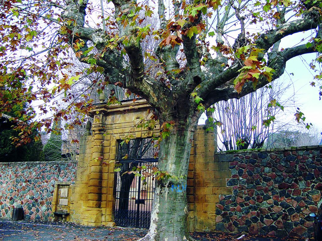 Μποζολέ ίσον καινούργιο