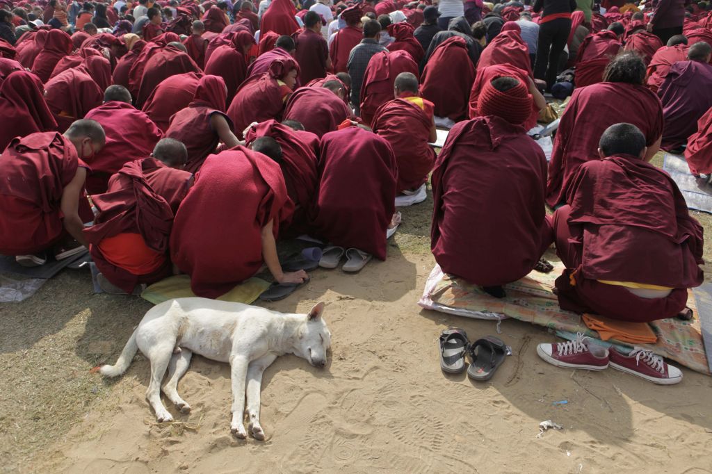 Ινδία: Κρατούσαν όμηρο και βίαζαν τουρίστρια από την Ιαπωνία