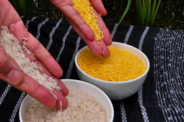 Ρύζι, ο νέος προστάτης της υγείας