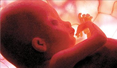 Νέο τεστ δείχνει το φύλο του μωρού από τον δεύτερο μήνα της κύησης