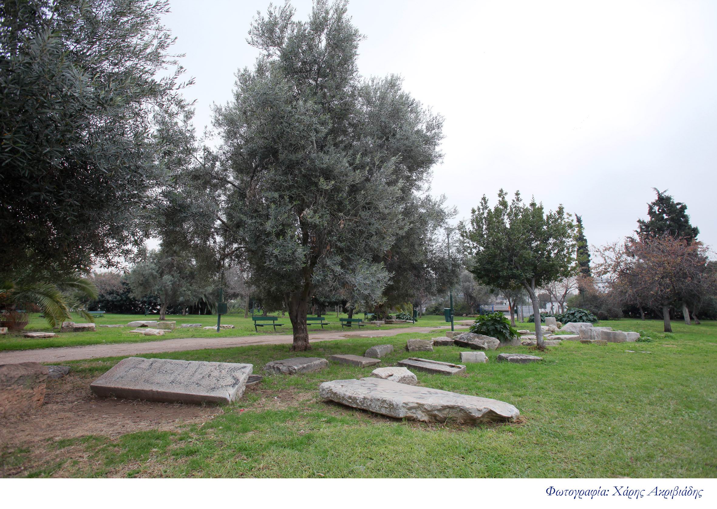 Η Ακαδημία του Πλάτωνα συναντά την παιδεία του σήμερα