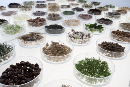 Ομορφιά από την ελληνική φύση