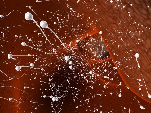 Τα λίγα σπερματοζωάρια ένδειξη κακής υγείας ενός άνδρα