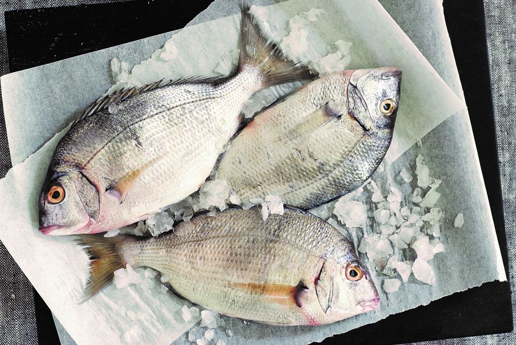 Ψάρι «ανοιξιάτικο»