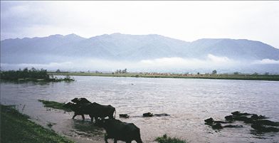 Το βιολογικό μοντέλο της Κερκίνης