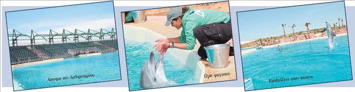 Βουτιές στο πρώτο Δελφινάριο της Ελλάδας