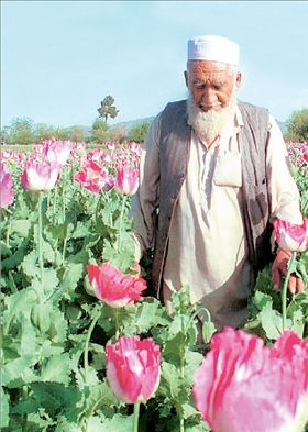 Ο πόλεμος του oπίου στο Αφγανιστάν