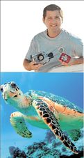 Θαλάσσια χελώνα  γύρισε… βίντεο | tovima.gr