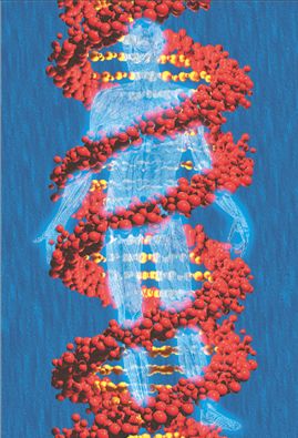 Δέκα κεράκια για  το ανθρώπινο γονιδίωμα | tovima.gr
