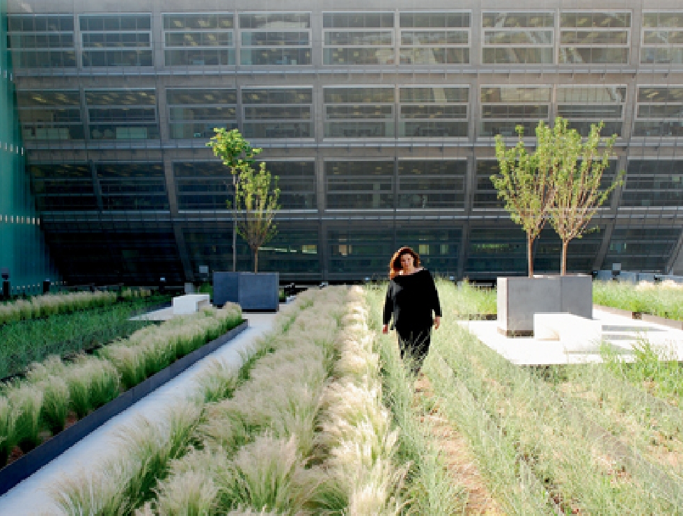 Αρχιτέκτονες τοπίου