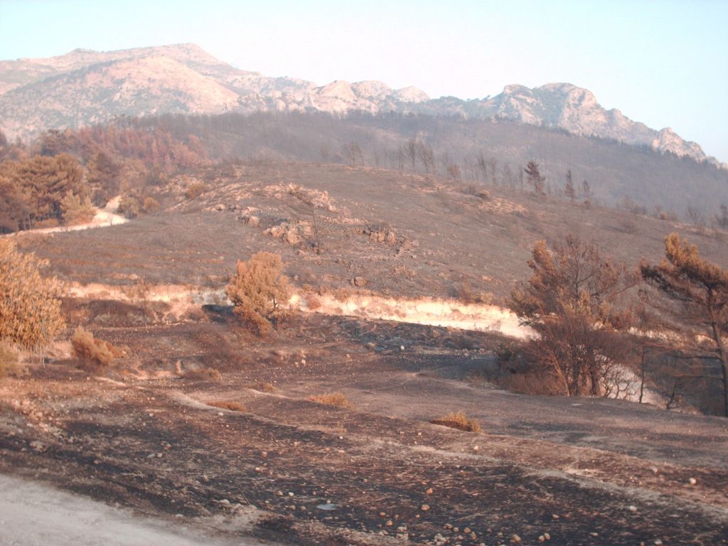 Σε ύφεση η πυργκαγιά στην Σάμο