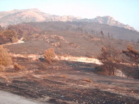 Σε ύφεση η πυργκαγιά στην Σάμο