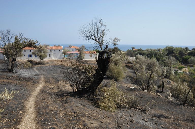 Έσβησε η φωτιά στη Σάμο – Στον εισαγγελέα οι κατηγορούμενοι | tovima.gr