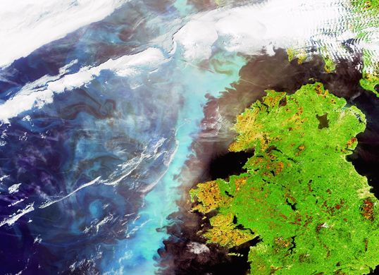 <b>Επιστήμη</b>Το πλαγκτόν των ωκεανών επηρεάζει τον σχηματισμό κυκλώνων | tovima.gr