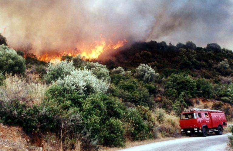<b>Γύθειο</b>Πυρκαγιά σε εξέλιξη σε αγροτοδασική έκταση | tovima.gr