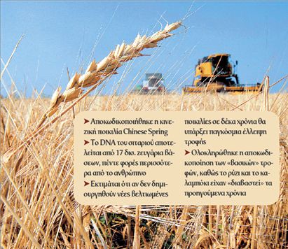 Λύση στην πείνα το γονιδίωμα του σιταριού | tovima.gr