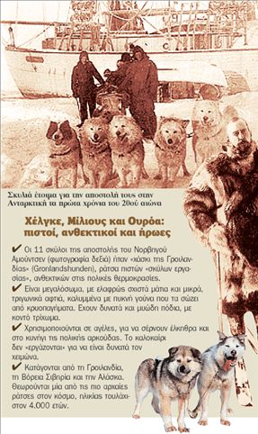 Για τα (ηρωικά) σκυλιά η Ανταρκτική ευγνωμονούσα | tovima.gr