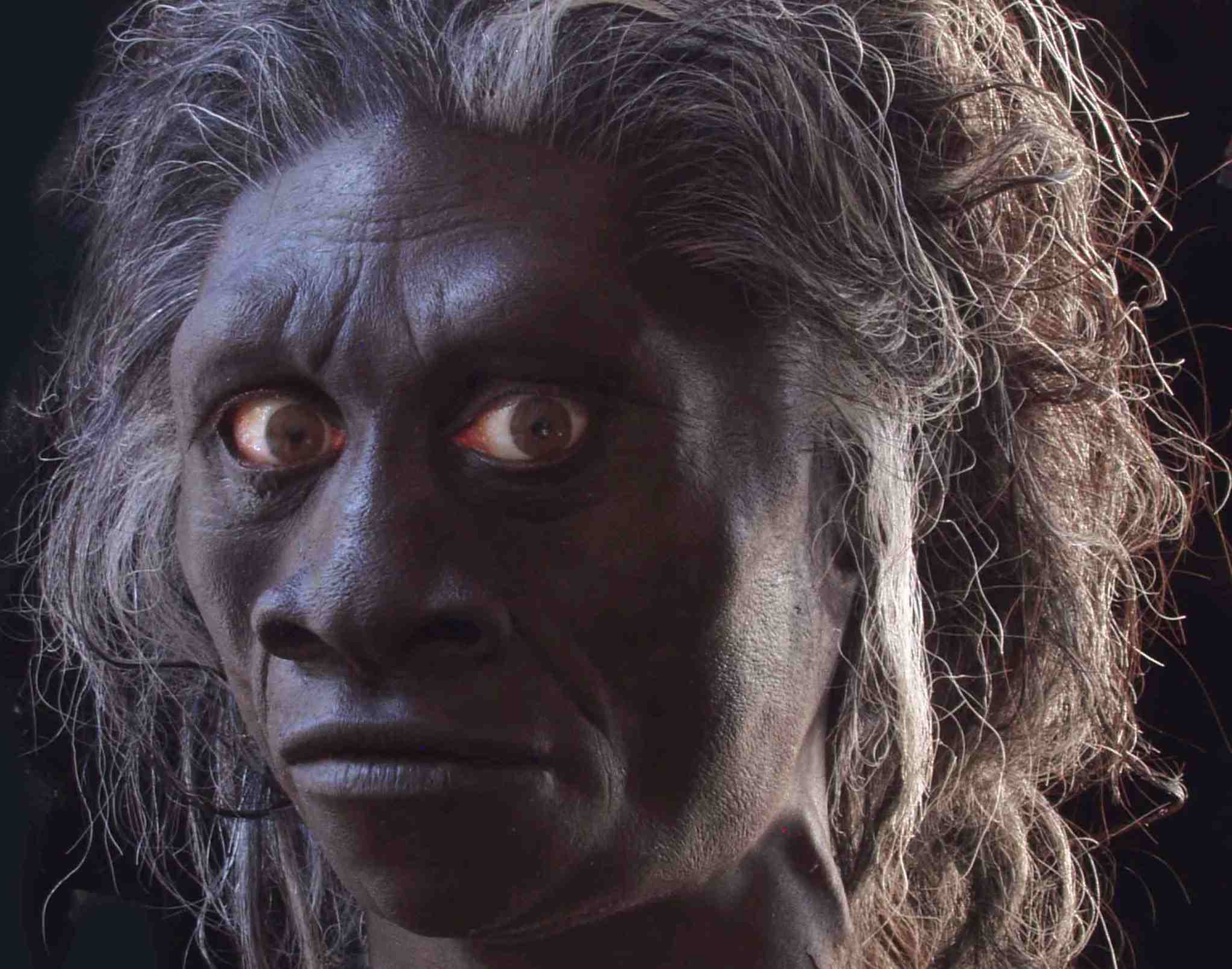 Δόντια 400.000 ετών μαρτυρούν ότι ο Χόμο Σάπιενς μπορεί να μην είναι «Αφρικανός»