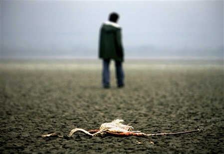 <b>Ευρωπαϊκό Δικαστήριο </b>Παραπομπή της Ελλάδας για «ασήμαντη πρόοδο» στη λίμνη Κορώνεια