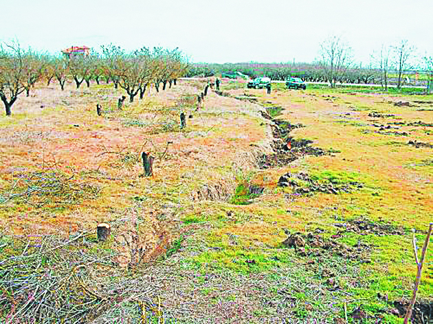 Η κλιματική αλλαγή είναι εδώ…