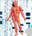 10 κεράκια για το ανθρώπινο γονιδίωμα