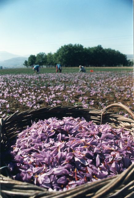 Συνεργασία των εταιρειών «Προϊόντα Κρόκου Κοζάνης» και «Γαία Τρόφιμα»