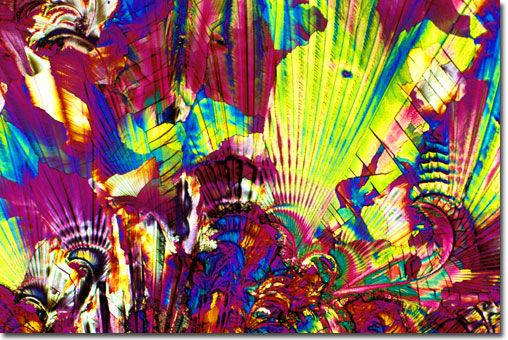 Σύνδεση της διγοξίνης με καρκίνο του μαστού