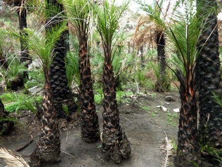 «Κλείδωσαν» οι νέοι γραμματείς Χωρικού Σχεδιασμού και Υδάτων