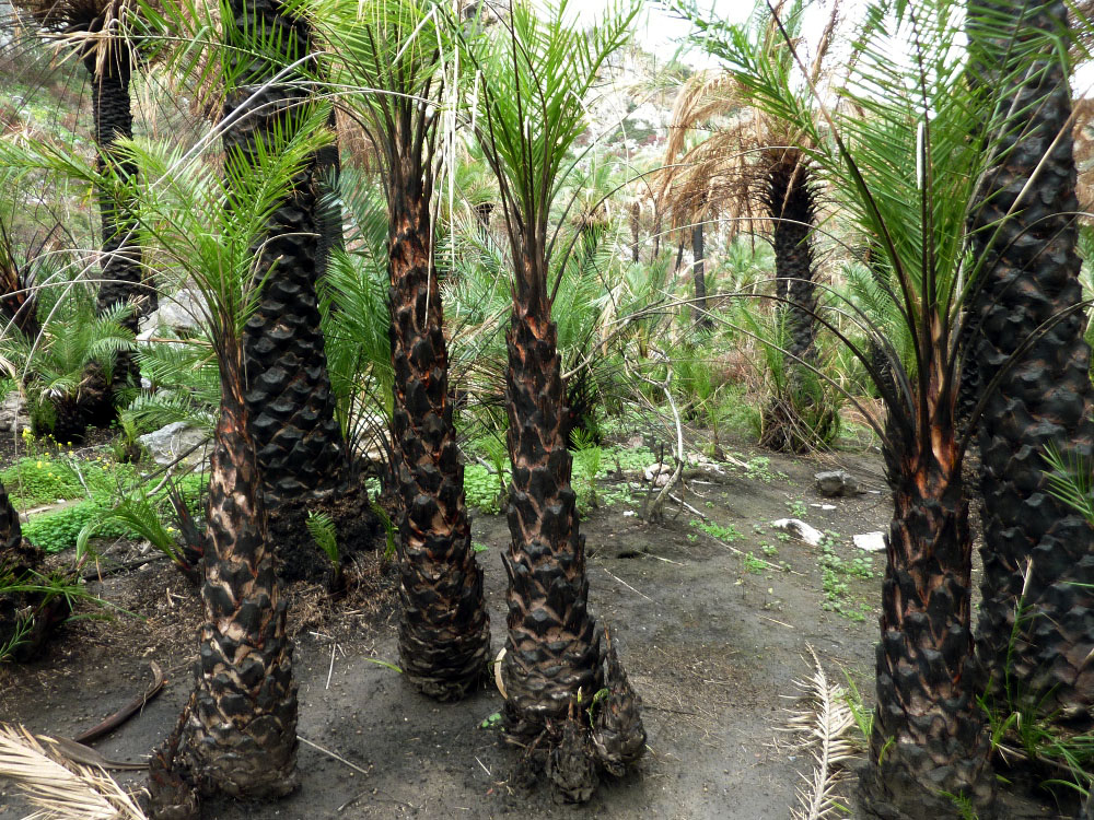 «Κλείδωσαν» οι νέοι γραμματείς Χωρικού Σχεδιασμού και Υδάτων