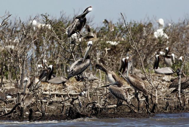 Ενας χρόνος από το δυστύχημα στον Κόλπο του Μεξικού