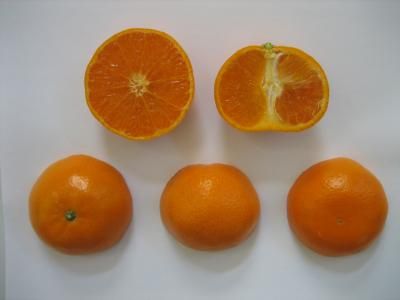 Πορτοκάλια χωρίς κουκούτσια