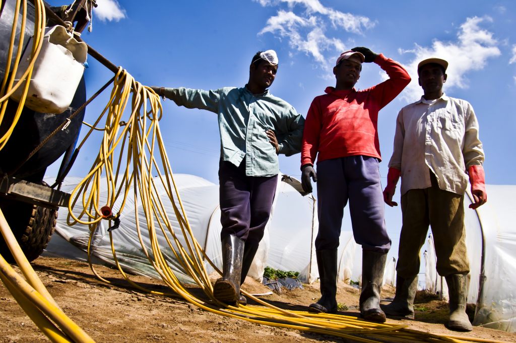 ΕΕ: Ζητά μέτρα κατά της εκμετάλλευσης εργατών-μεταναστών