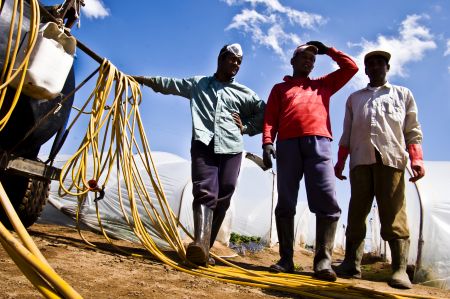 ΕΕ: Ζητά μέτρα κατά της εκμετάλλευσης εργατών-μεταναστών
