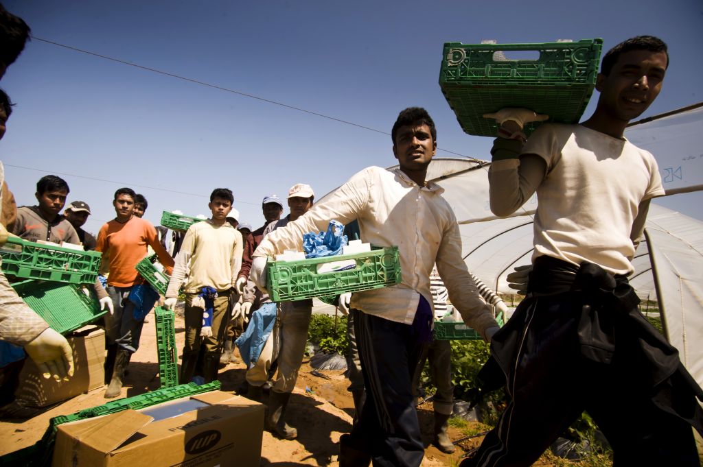 Πυροβόλησαν και τραυμάτισαν σοβαρά 8 αλλοδαπούς εργάτες στη Μανωλάδα Ηλείας γιατί ζήτησαν τα δεδουλευμένα 6 μηνών