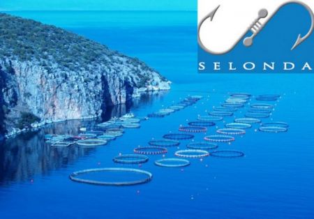 Αμερικανοί και Αραβες πήραν Νηρέα και Σελόντα