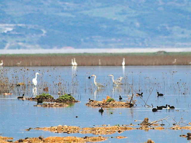 Μια λίμνη που επιμένει…