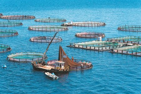 Καραμπόλες από το deal Νηρέα – Σελόντα