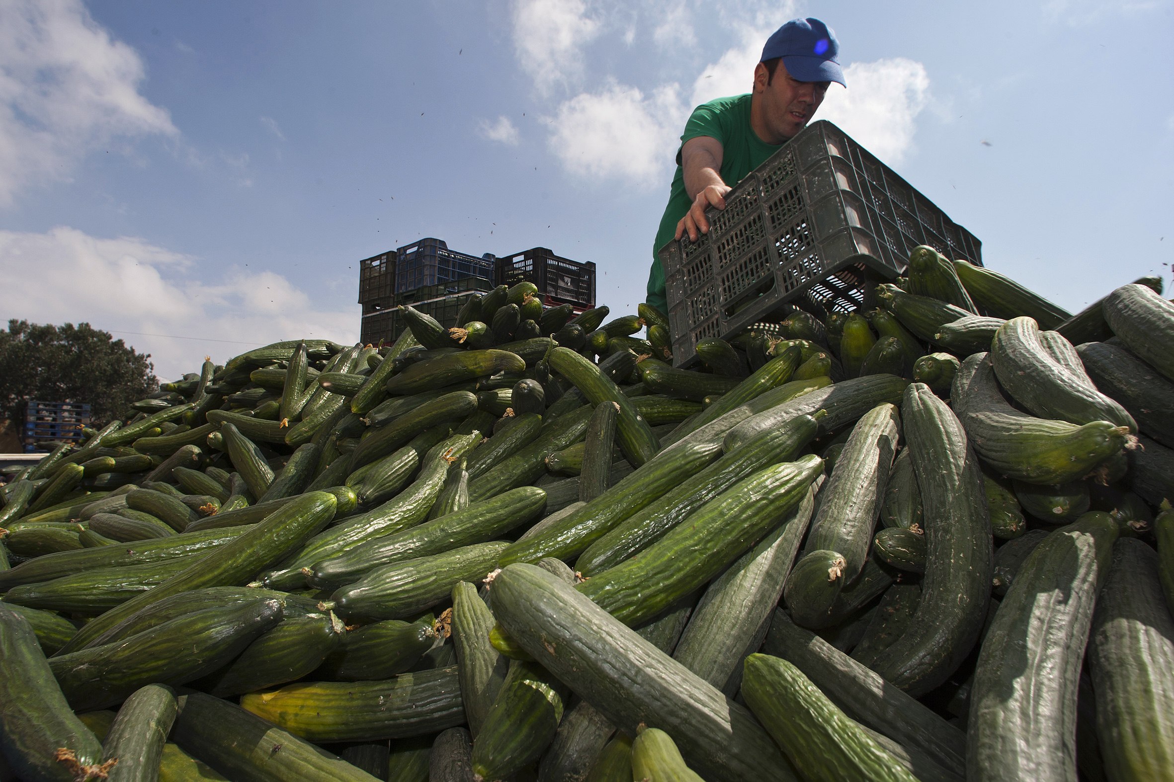 Η Ρωσία απαγόρευσε την εισαγωγή λαχανικών από την ΕΕ