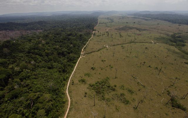 ΟΗΕ: Μειώθηκαν οι δασικές εκτάσεις του πλανήτη
