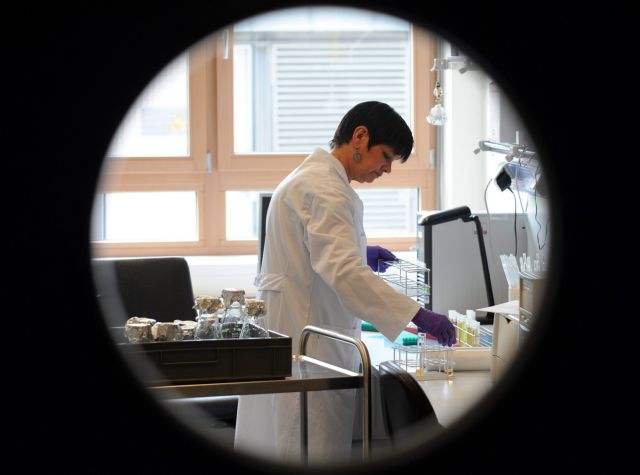 Γερμανία: Τρεις ερευνητές διώκονται για πειράματα σε πιθήκους